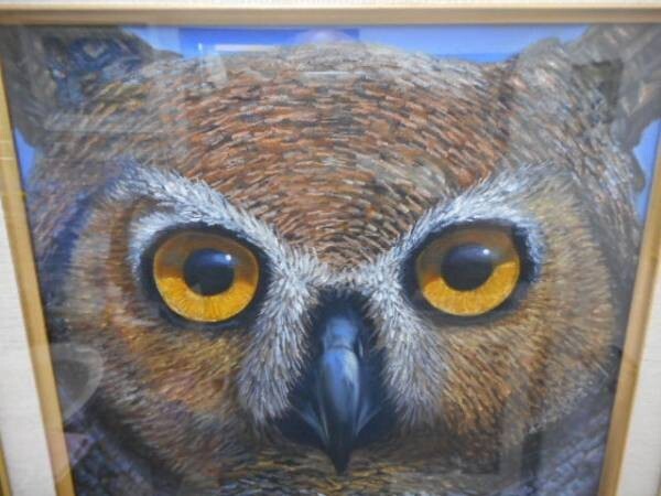 Charles Lynn Bragg - Owl Unique Original Acrylic