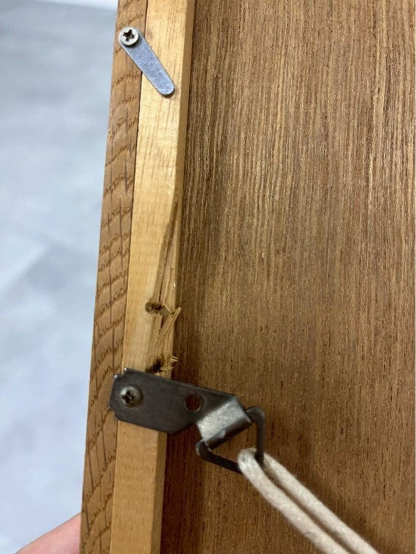 Autographed Edition: 41/ 100 Framed - Dick Bruna "Flower" Original Lithograph