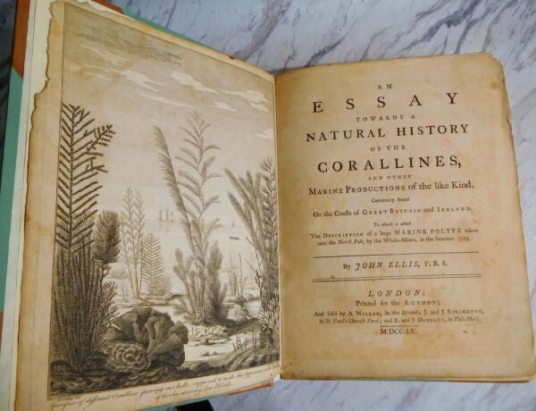 1755 John Ellis An Essay Towards A Natural