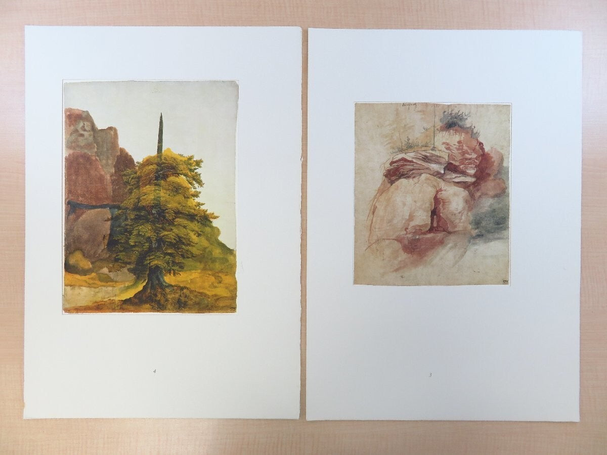 Dodici Acquarelli E Disegni Di Alberto Durer -