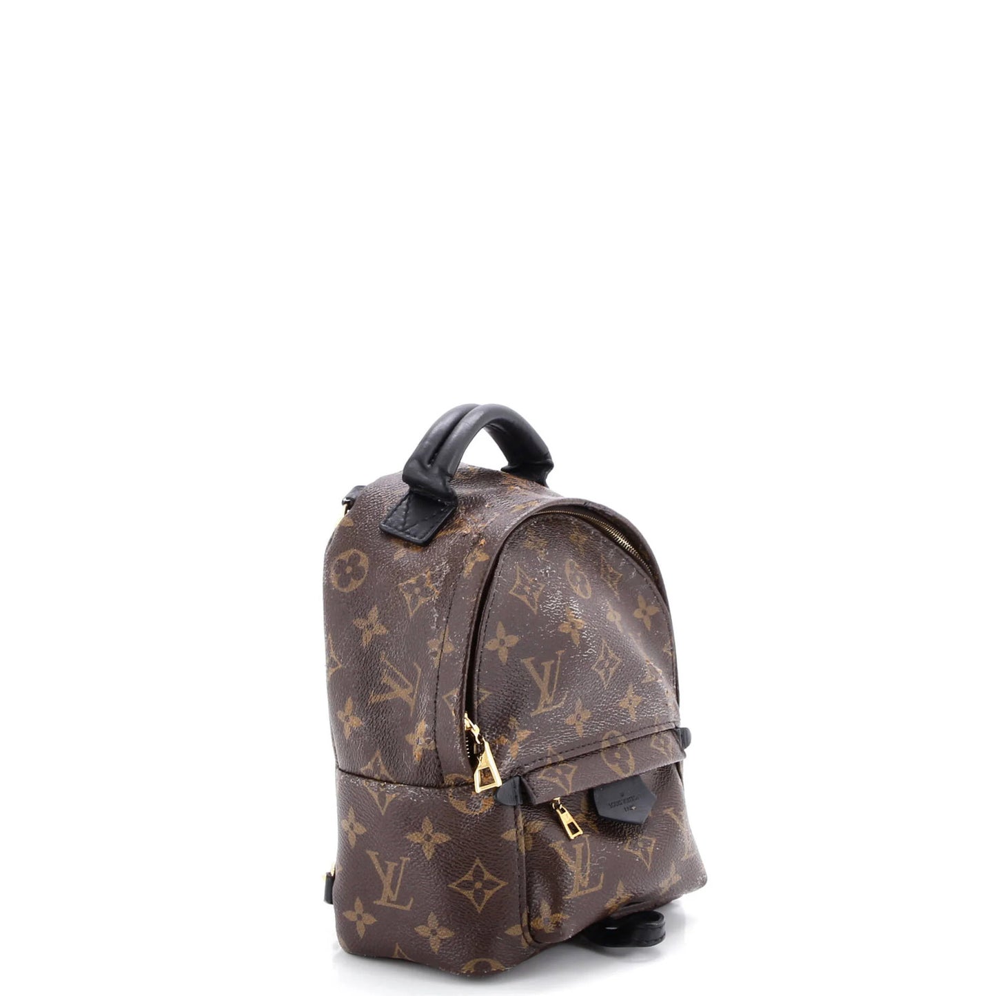 Louis Vuitton Palm Springs Backpack Monogram Canvas Mini