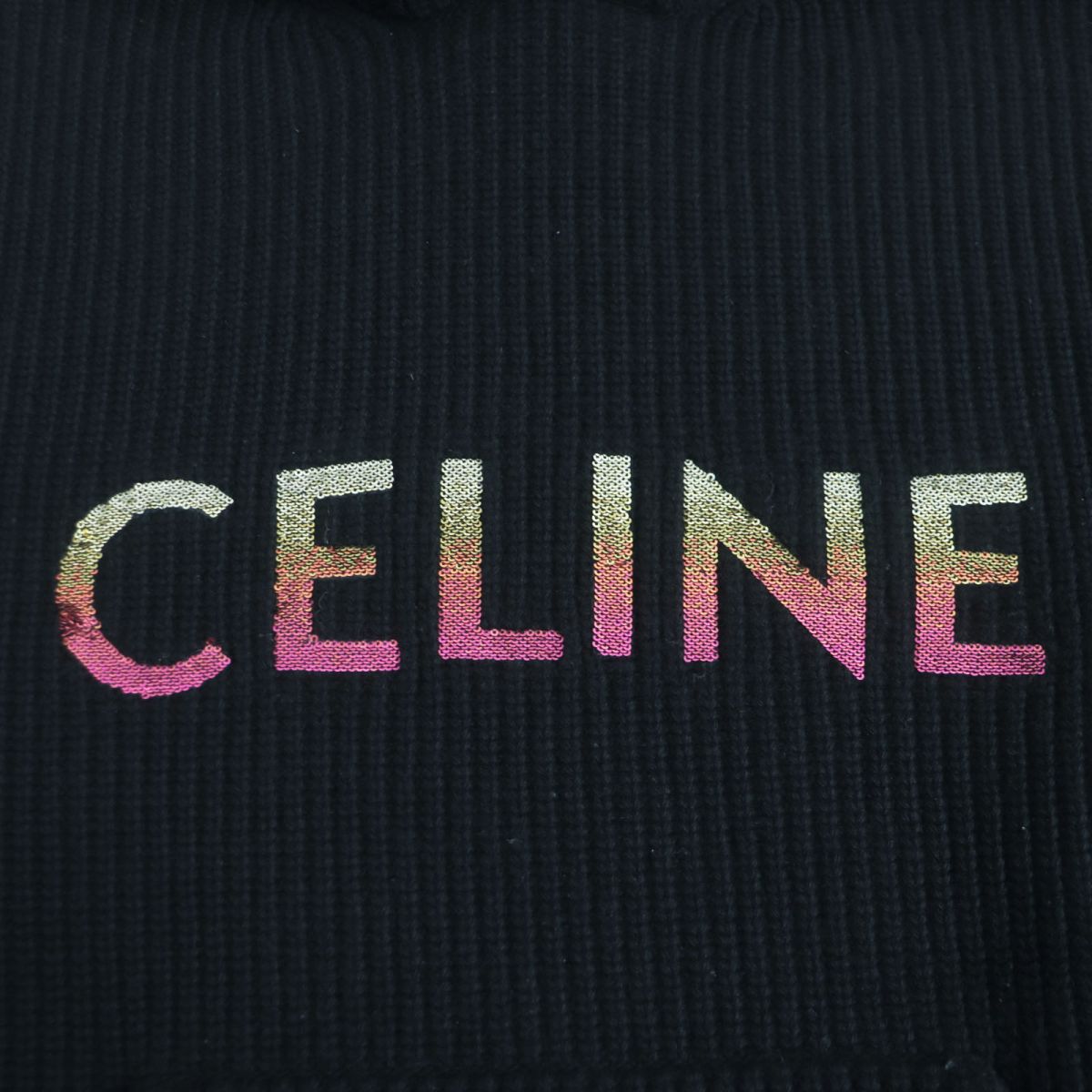 Celine Hoodie Main