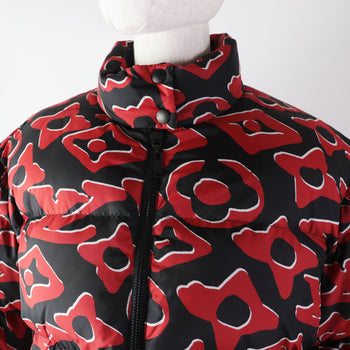 Louis Vuitton Down Jacket Outer