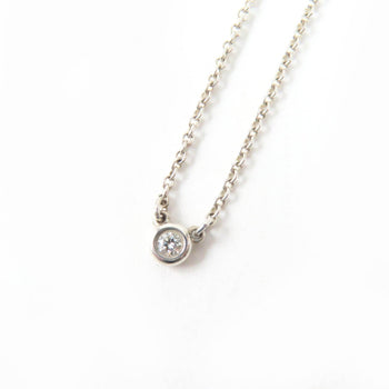 Tiffany&Co. Necklace Main