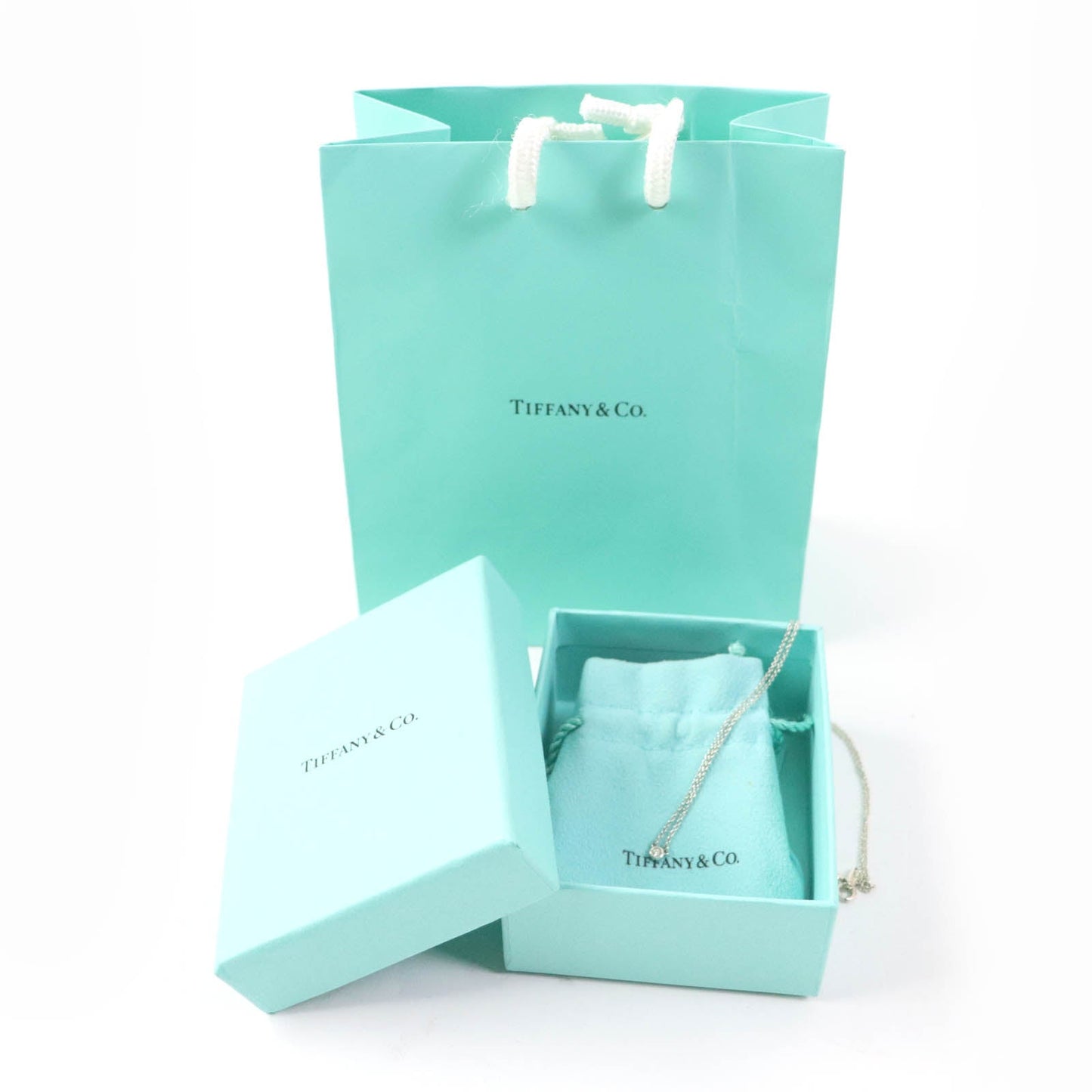 Tiffany&Co. Necklace Main