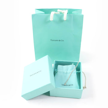 Tiffany&Co. Necklace Main