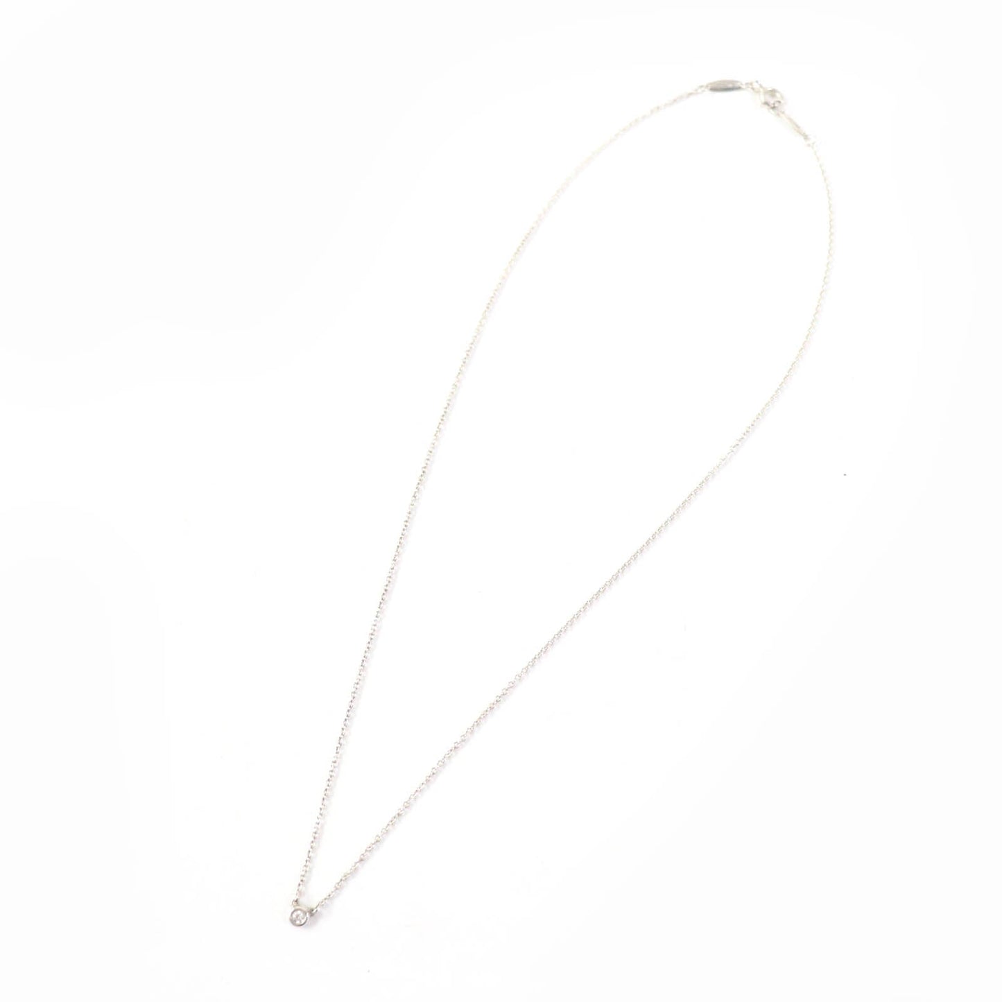 Tiffany&Co. Necklace Main