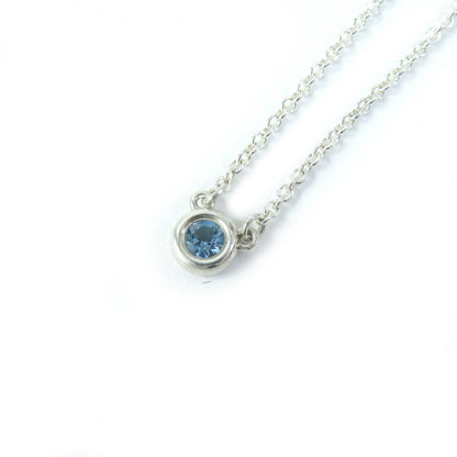 Tiffany&Co. Necklace Main