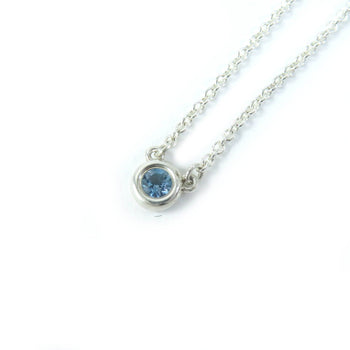 Tiffany&Co. Necklace Main
