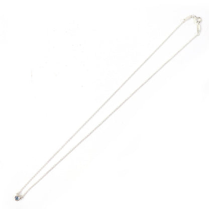 Tiffany&Co. Necklace Main