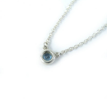 Tiffany&Co. Necklace Main