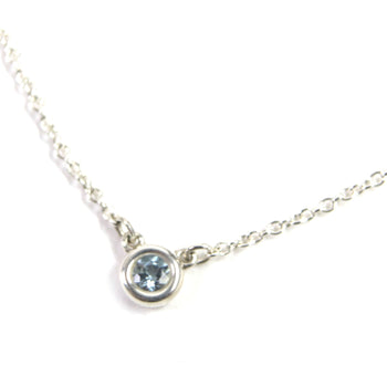 Tiffany&Co. Necklace Main