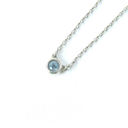 Tiffany&Co. Necklace Main