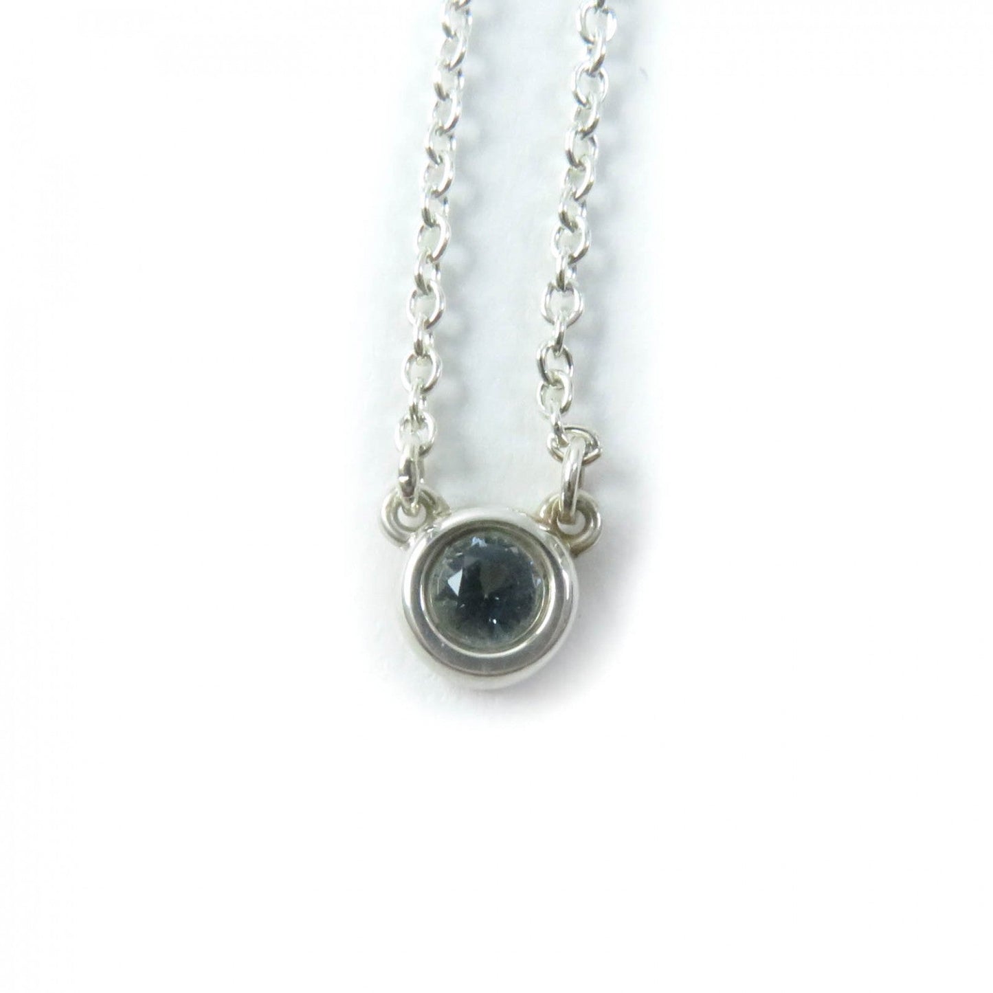 Tiffany&Co. Necklace Main
