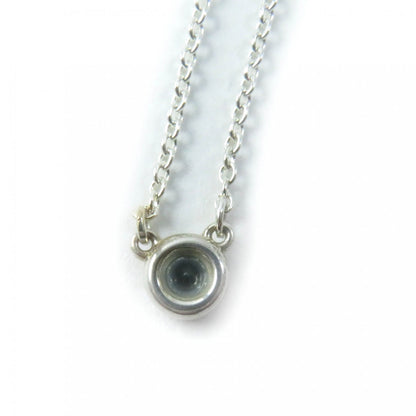 Tiffany&Co. Necklace Main