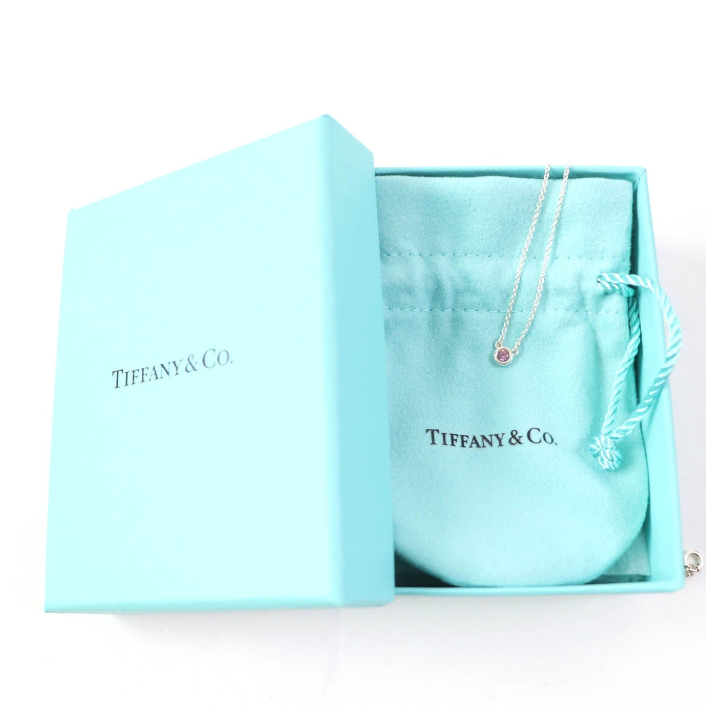 Tiffany&Co. Necklace Main