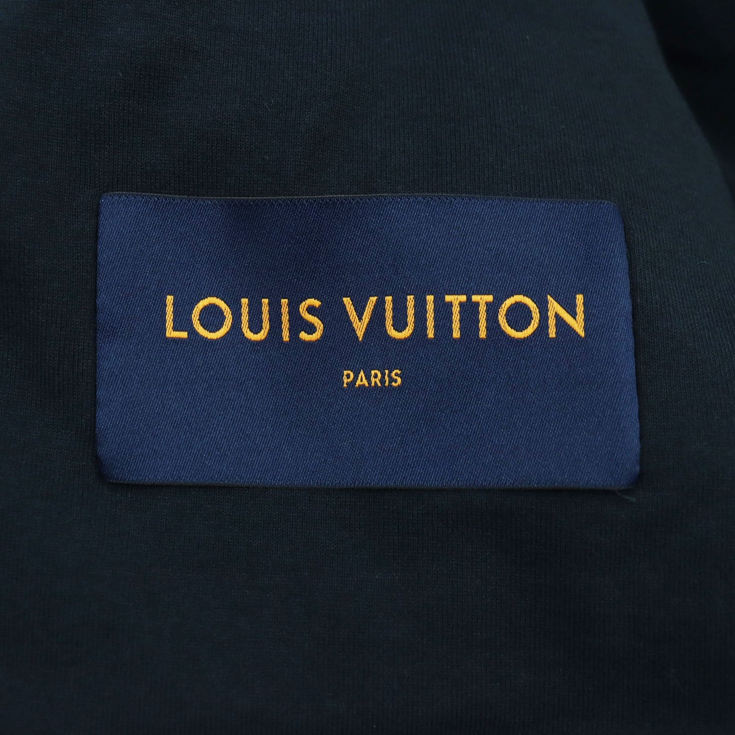 Louis Vuitton Blouson Hoy15W Outer