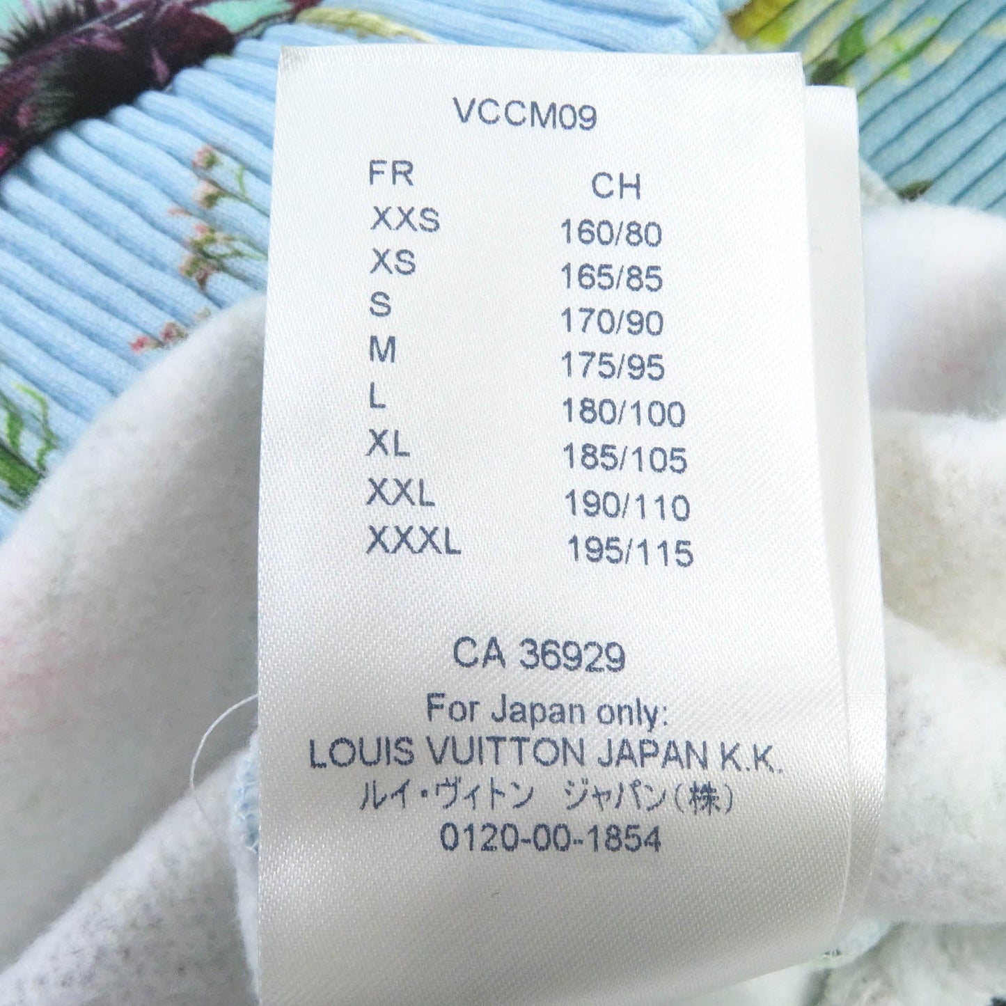 Louis Vuitton Hoodie Main