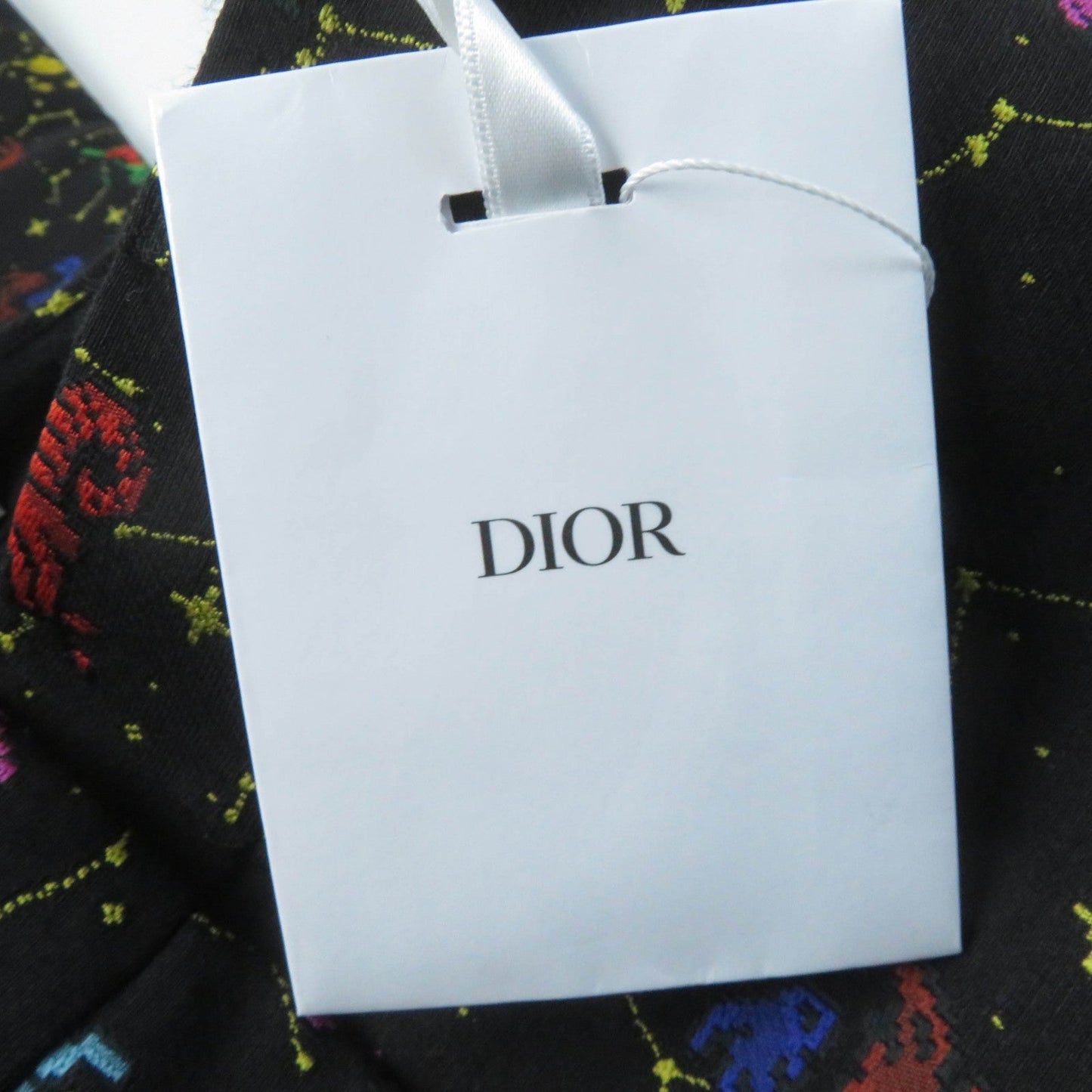 Christian Dior Pants 241P05A7203 Main