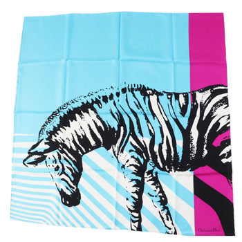 Christian Dior Scarf Main