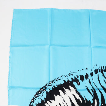Christian Dior Scarf Main