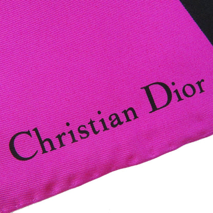 Christian Dior Scarf Main