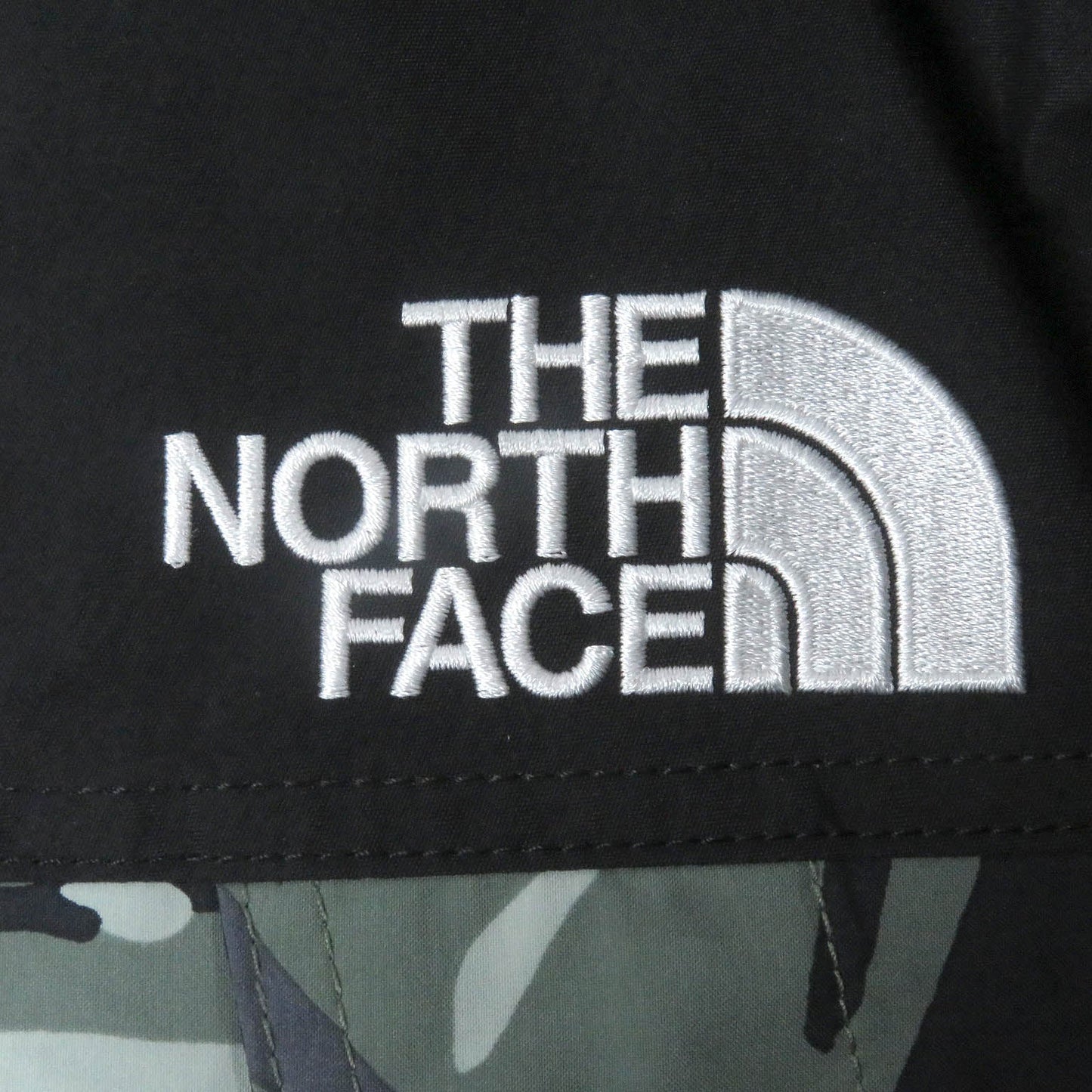 The North Face Mountain Hoodie Np62135 Outer
