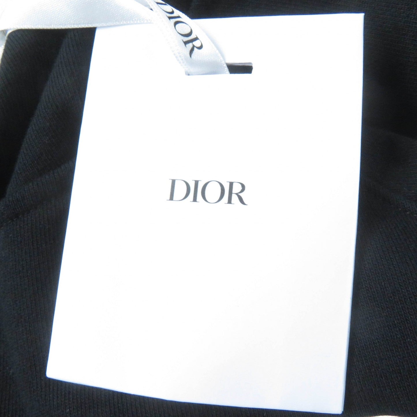 Christian Dior Hoodie 243S06A4063 Main