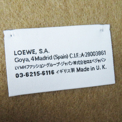 Loewe Scarf Main