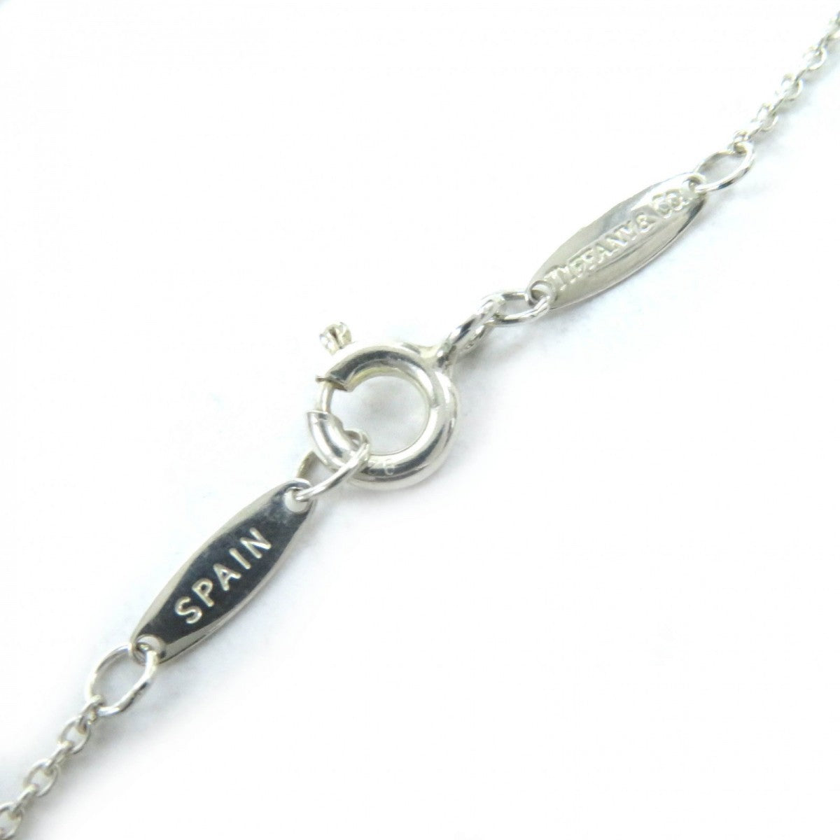 Tiffany&Co. Necklace Main