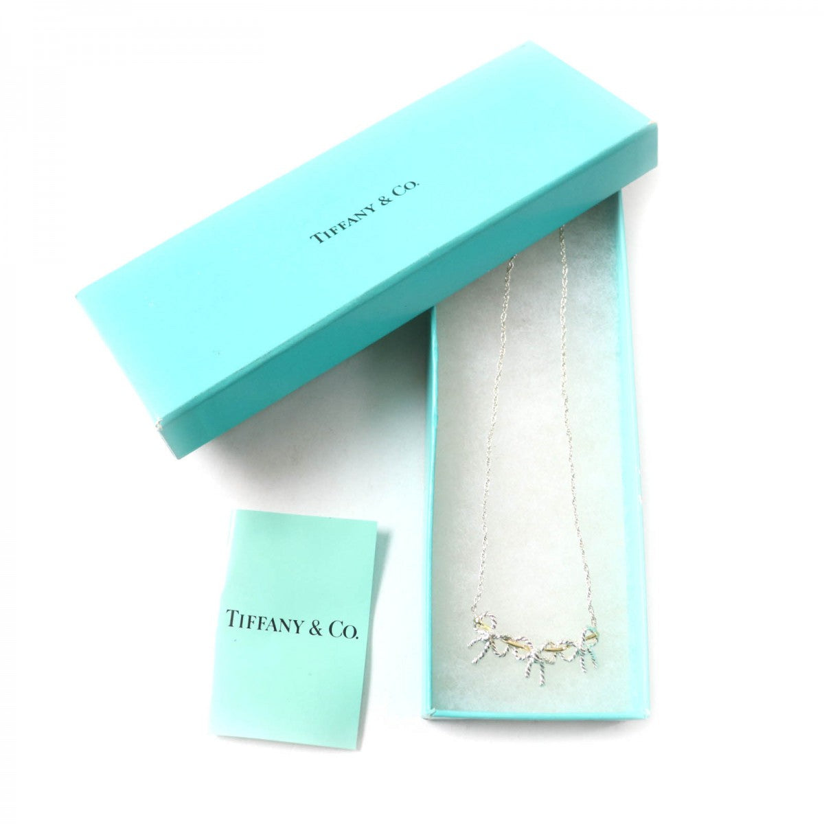 Tiffany&Co. Necklace Main