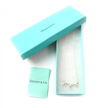 Tiffany&Co. Necklace Main
