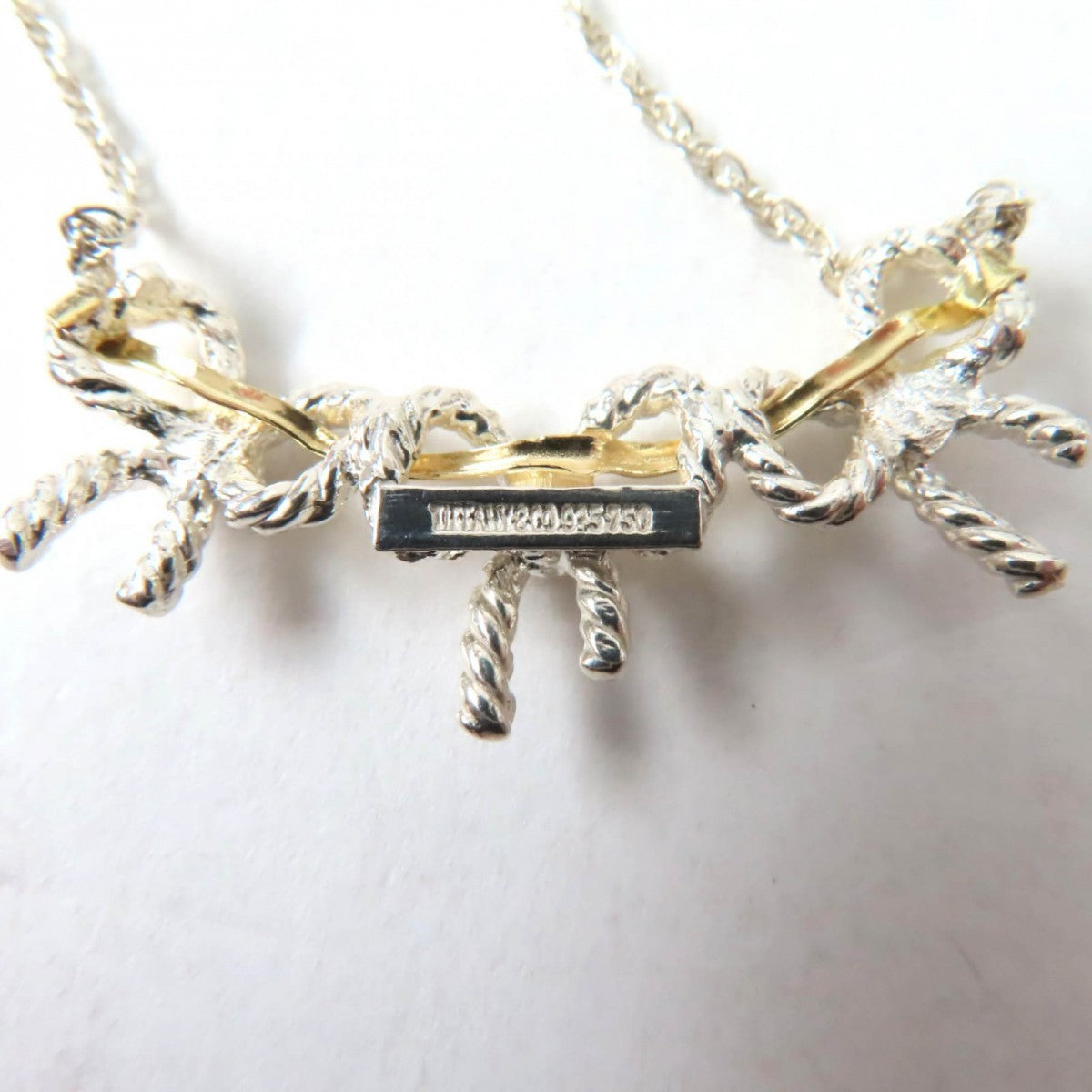 Tiffany&Co. Necklace Main