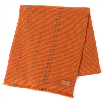 Hermes Scarf Main