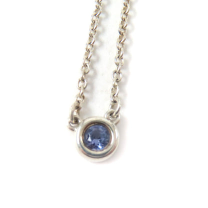 Tiffany&Co. Necklace Main