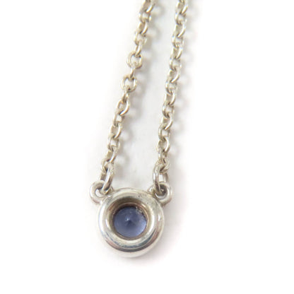 Tiffany&Co. Necklace Main
