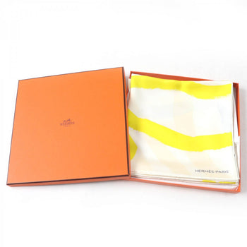 Hermes Scarf Main
