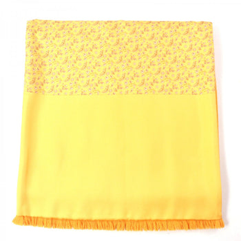 Hermes Scarf Main
