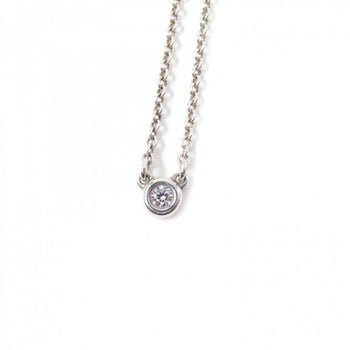 Tiffany&Co. Necklace Main