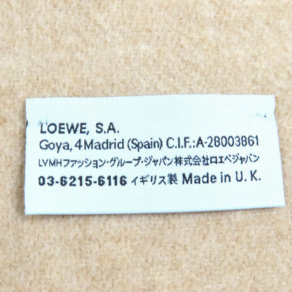 Loewe Scarf Main