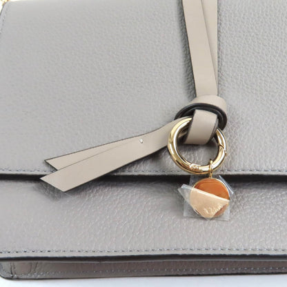 Chloe Shoulder Bag Chc21Wp726F57053 Main