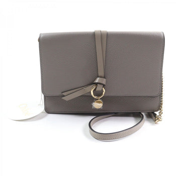 Chloe Shoulder Bag Chc21Wp726F57053 Main