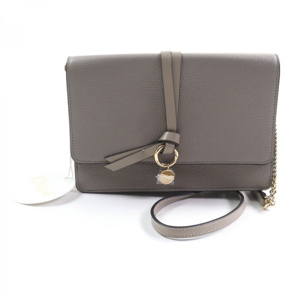Chloe Shoulder Bag Chc21Wp726F57053 Main