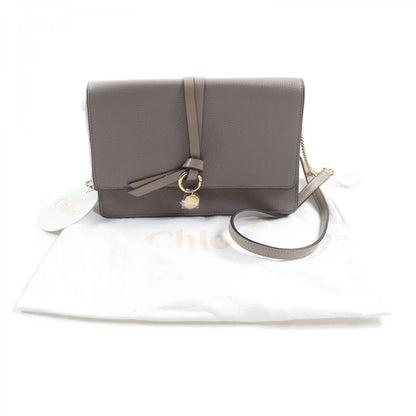 Chloe Shoulder Bag Chc21Wp726F57053 Main