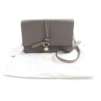 Chloe Shoulder Bag Chc21Wp726F57053 Main