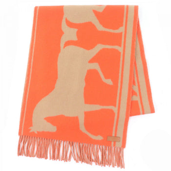 Hermes Scarf Main