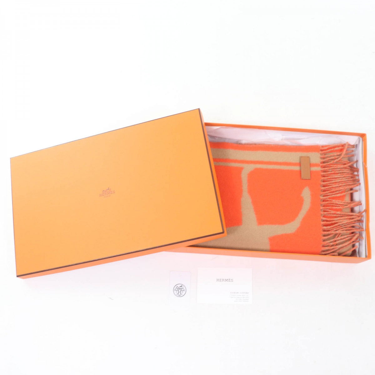 Hermes Scarf Main