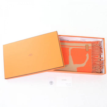 Hermes Scarf Main