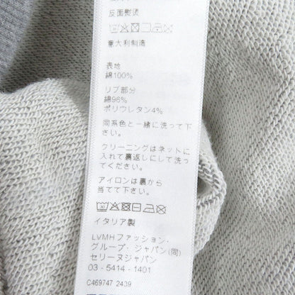 Celine Hoodie Ry08M670Q Cotton Gray Xs