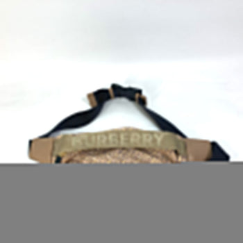 Burberry Sling Bag Nylon Beige Tb Monogram Mens